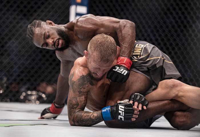 Aljamain Sterling defeated T.J. Dillashaw at UFC 280.